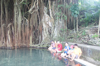 enchanting balete tree Siquijor