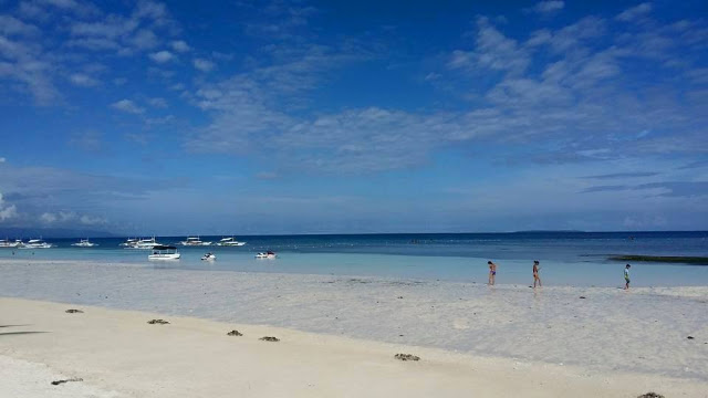 visit Bohol Philippines visit Bohol Philippines