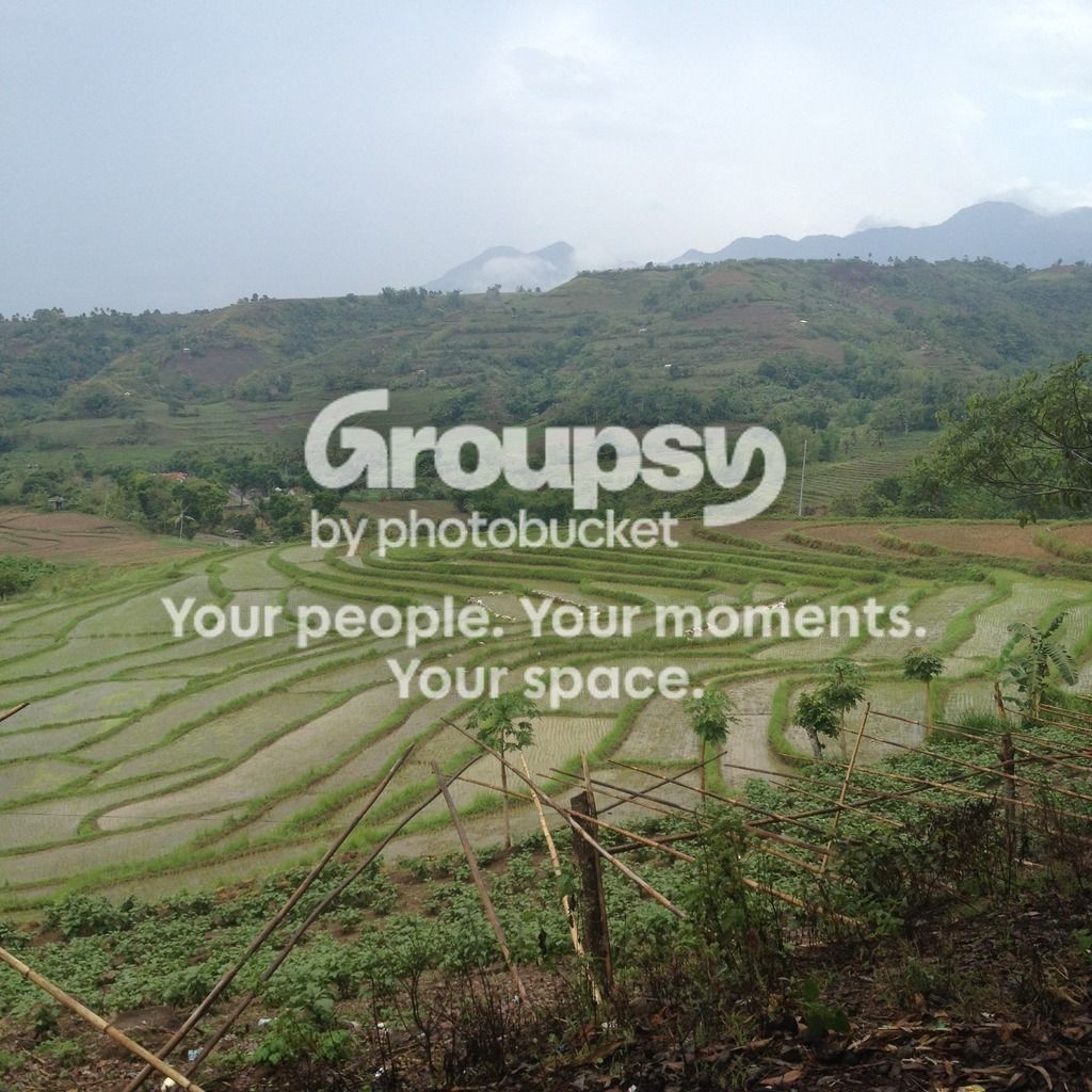 Rice terraces in Negros Occidental