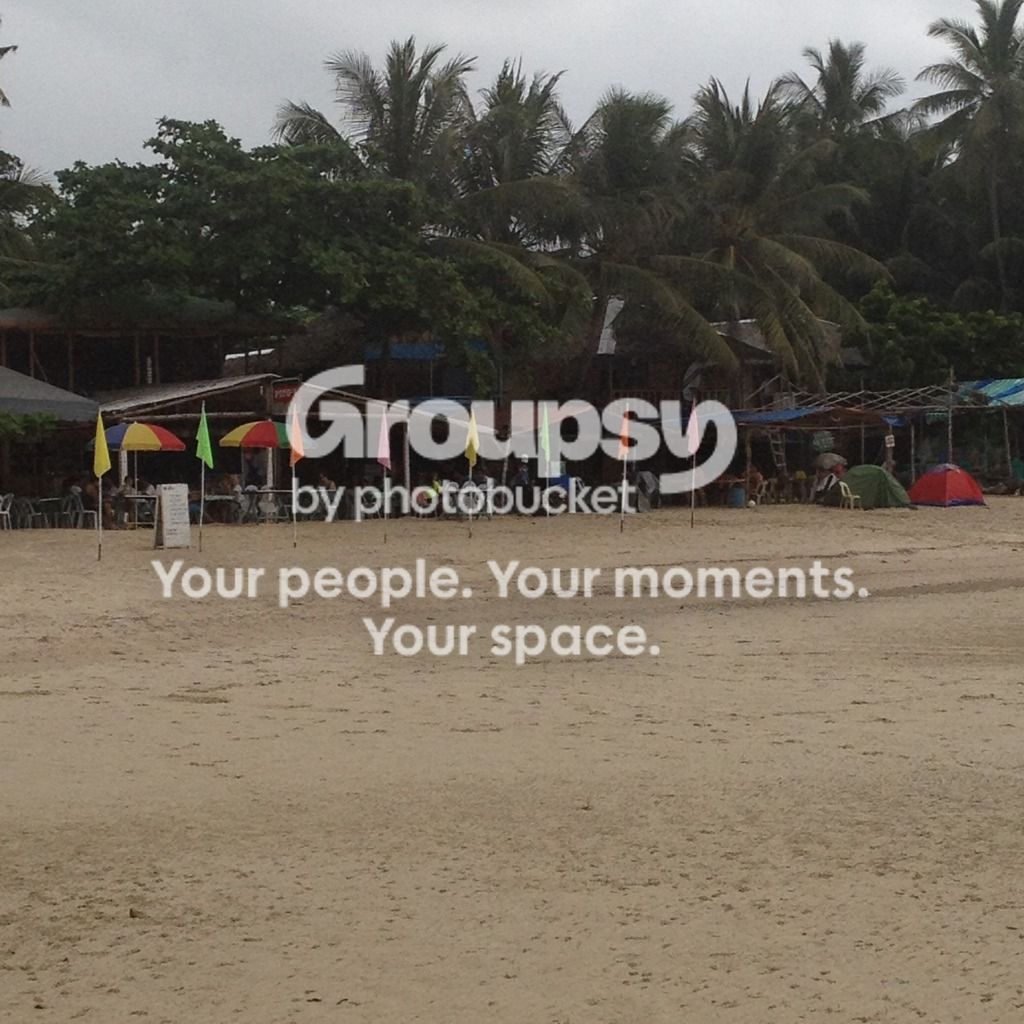 photo AB9245A6-C440-4EF2-B05C-D3EA3B7F1F8D.jpg